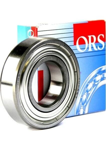 ORS 6004 ZZ RULMAN