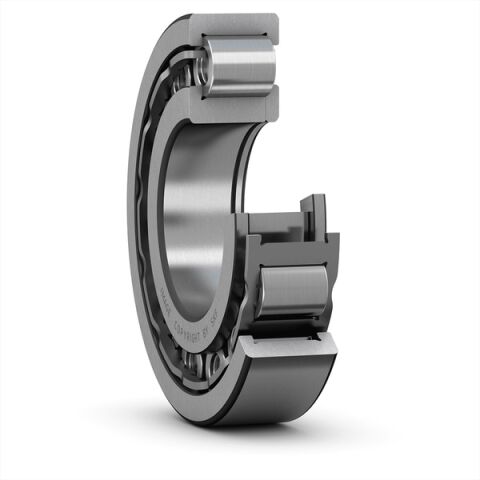 SKF NUP 313 ECJ RULMAN 65x140x33